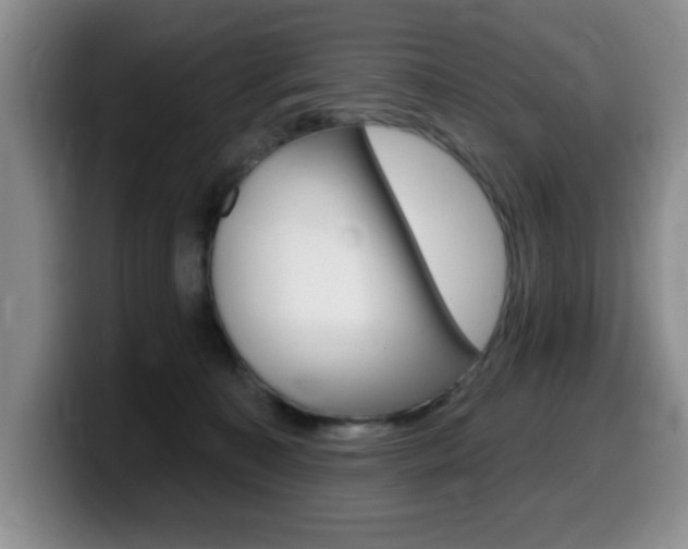 X0000099480323200805090838