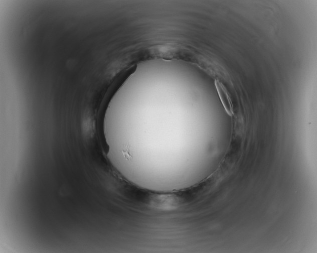 X0000099480324200805090838