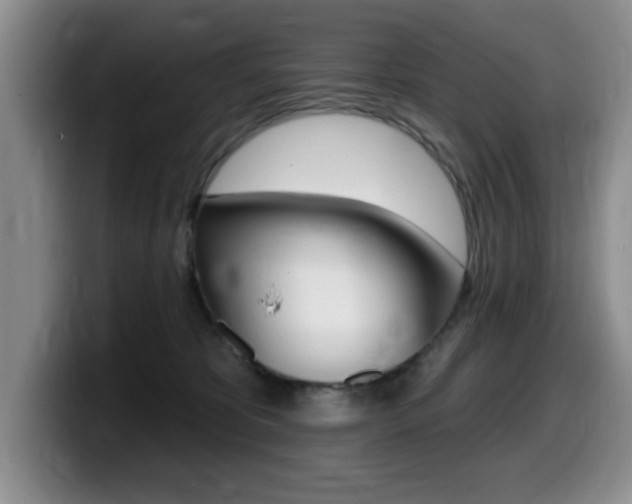 X0000099480325200805090838