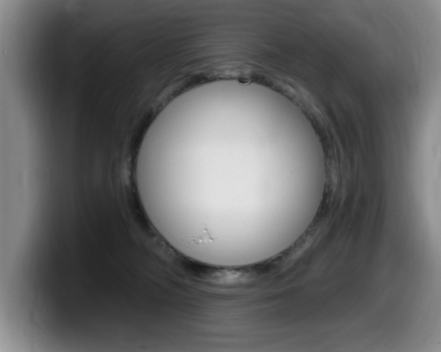 X0000099480326200805090838