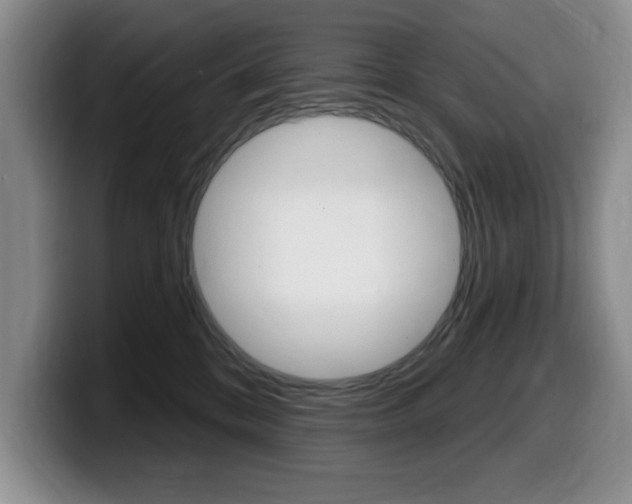 X0000099480328200805090838