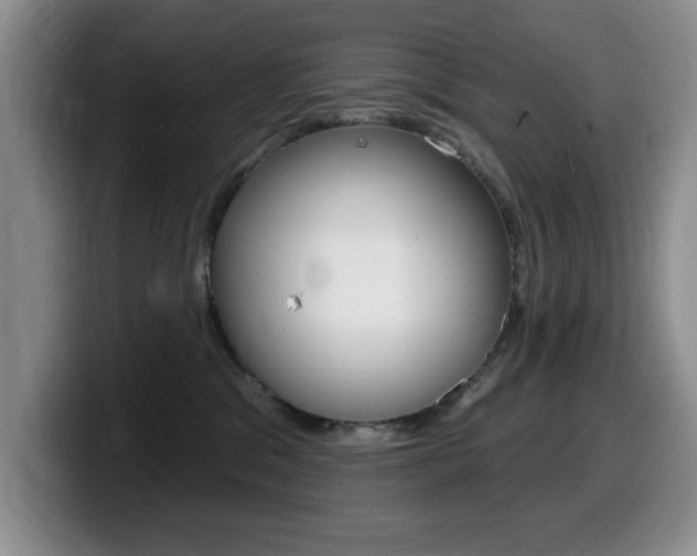 X0000099480329200805090838