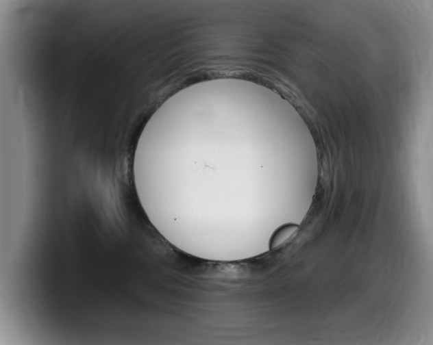 X0000099480330200805090838