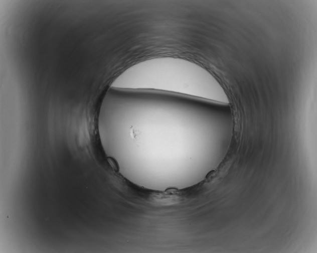 X0000099480331200805090838