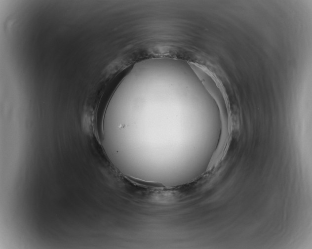X0000099480332200805090838