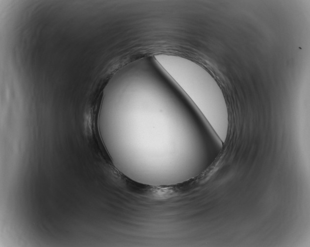 X0000099480333200805090838