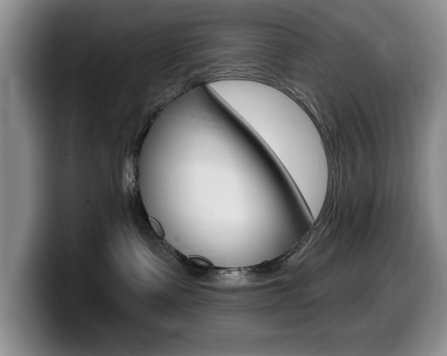 X0000099480335200805090838