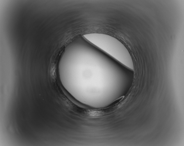 X0000099480336200805090838