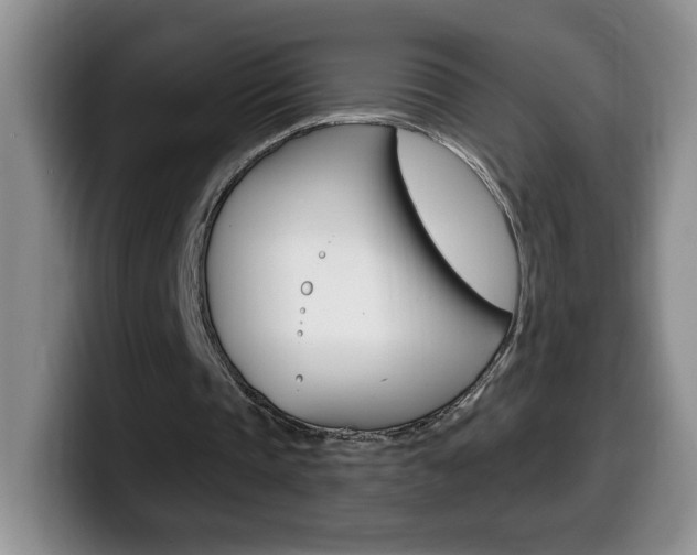 X0000099480337200805090837