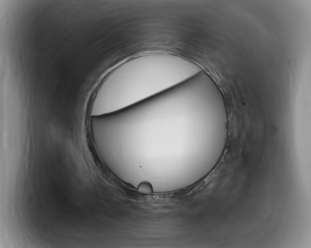 X0000099480338200805090837