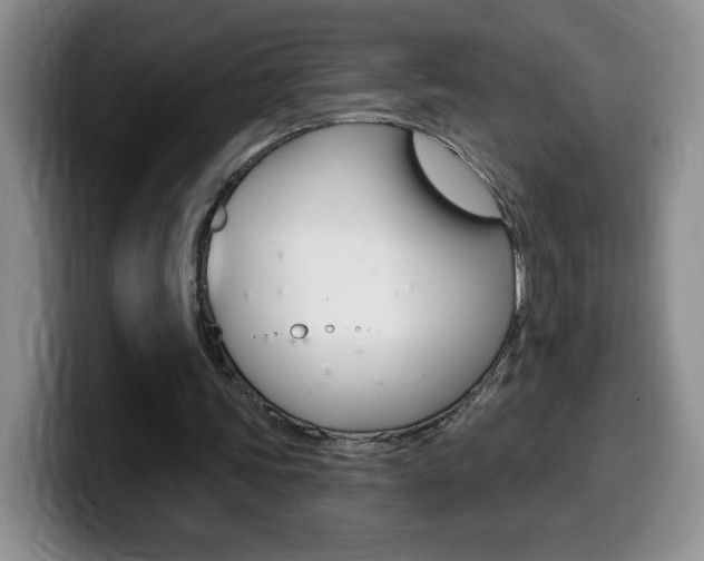 X0000099480339200805090837