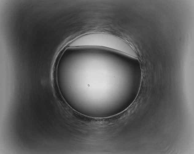 X0000099480340200805090837