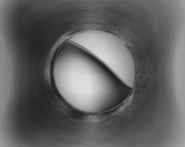 X0000099480341200805090837