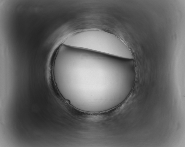 X0000099480342200805090838