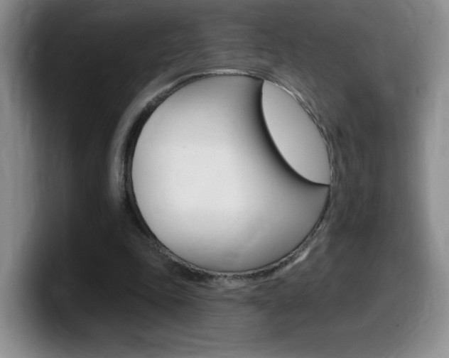 X0000099480343200805090838