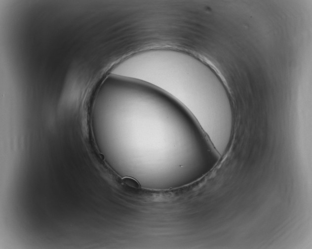 X0000099480345200805090838