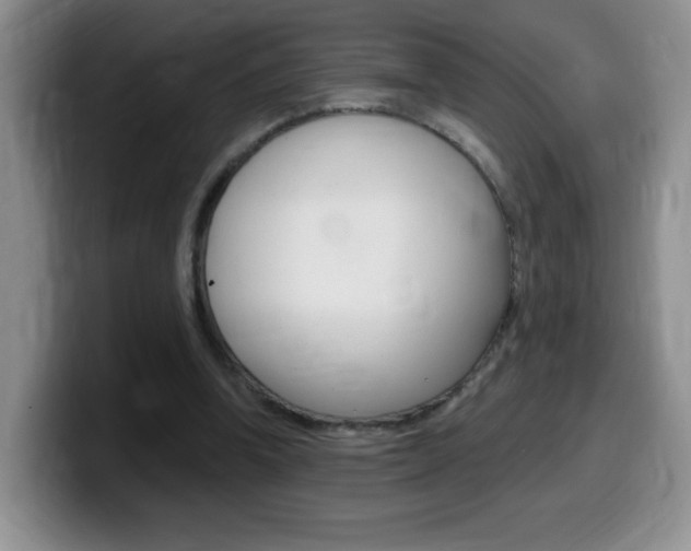 X0000099480346200805090838