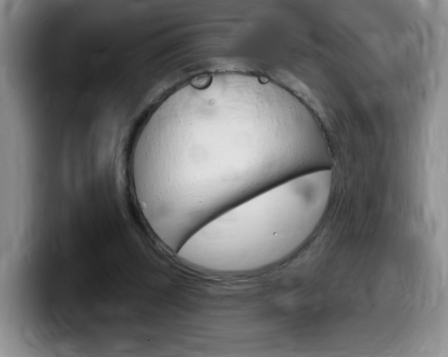 X0000099480347200805090838
