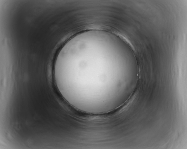 X0000099480349200805090838