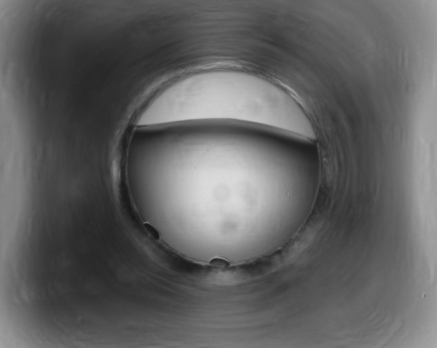X0000099480350200805090838