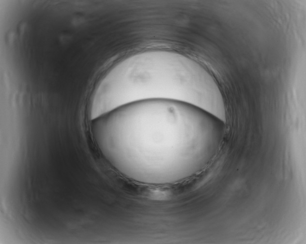 X0000099480352200805090838