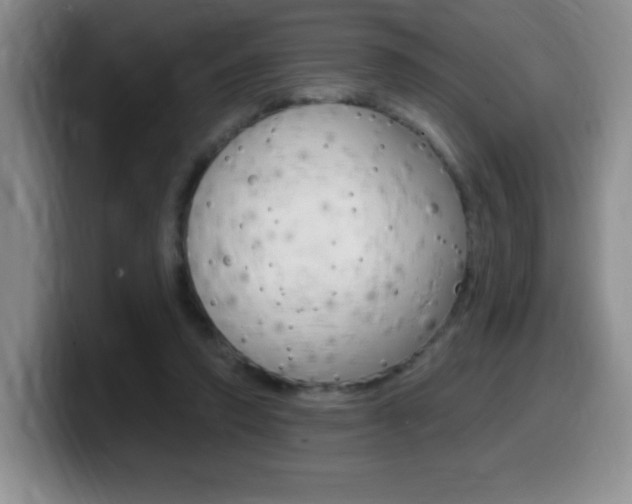 X0000099480354200805090838