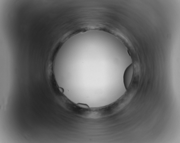 X0000099480356200805090838