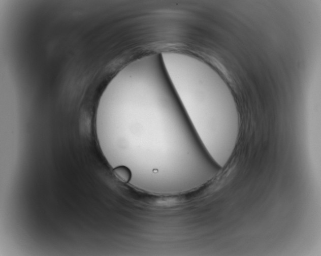 X0000099480357200805090838