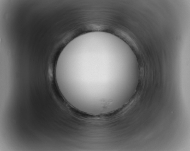 X0000099480358200805090838