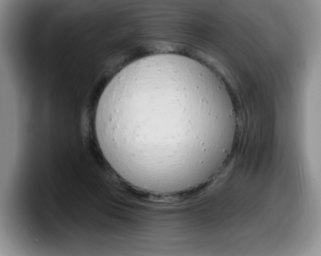 X0000099480359200805090838