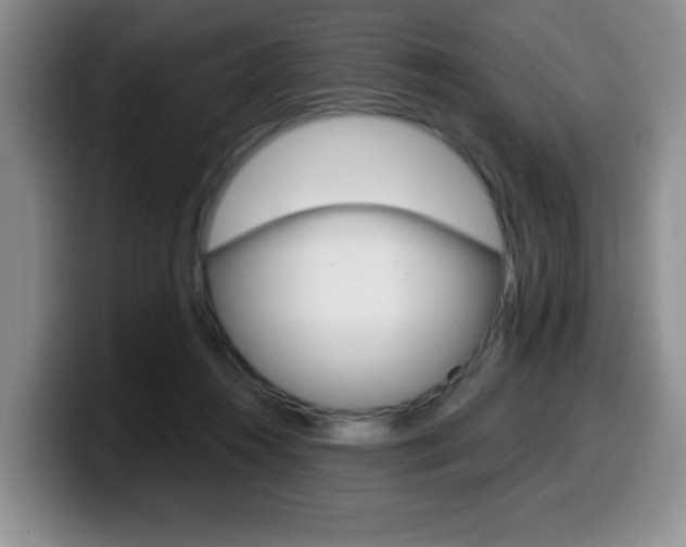 X0000099480360200805090838