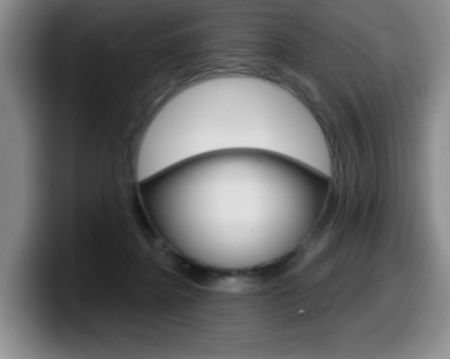 X0000099480364200805090838