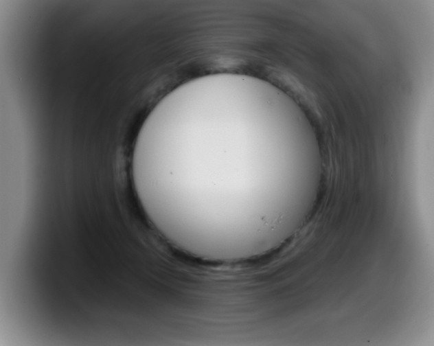X0000099480366200805090838