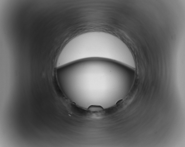 X0000099480368200805090838