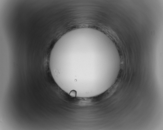 X0000099480369200805090838