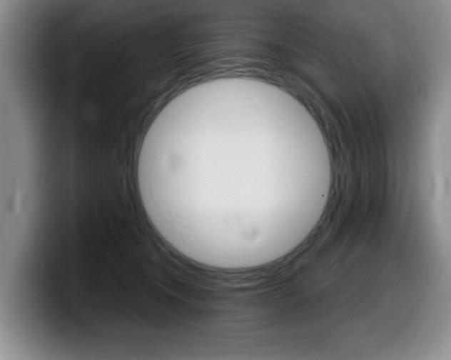 X0000099480372200805090838