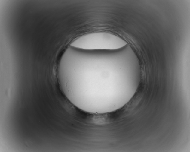 X0000099480373200805090838