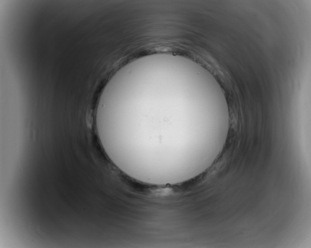 X0000099480374200805090838