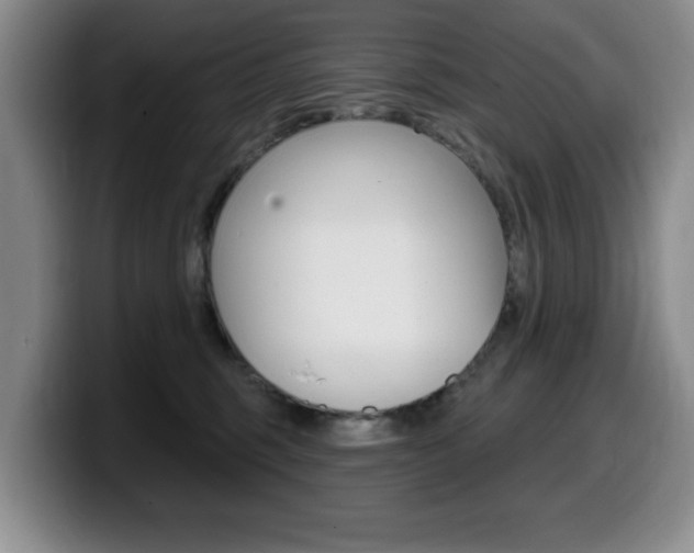 X0000099480375200805090838
