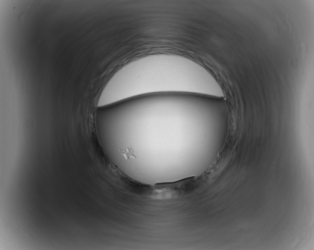 X0000099480376200805090838