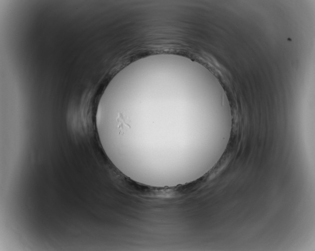 X0000099480377200805090838