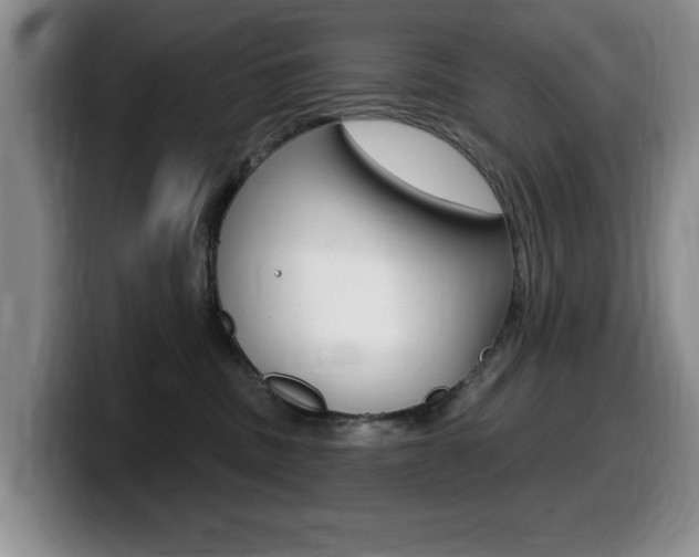X0000099480379200805090838