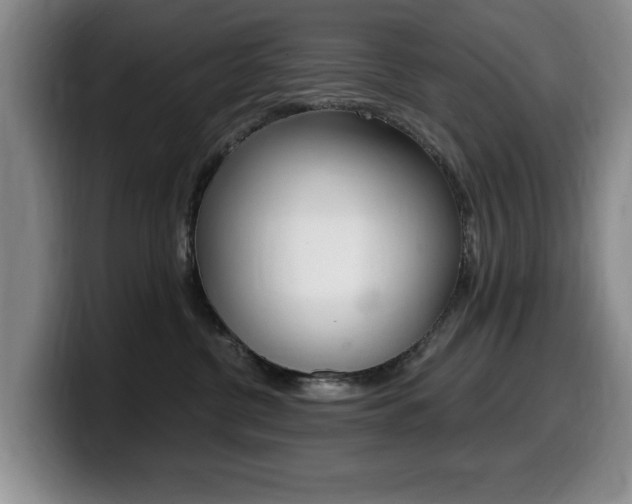 X0000099480380200805090838