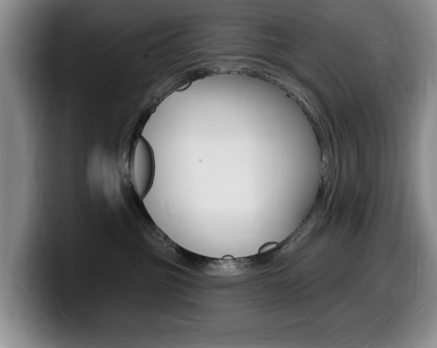 X0000099480381200805090838