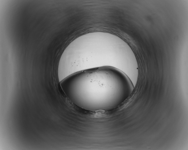 X0000099480382200805090838