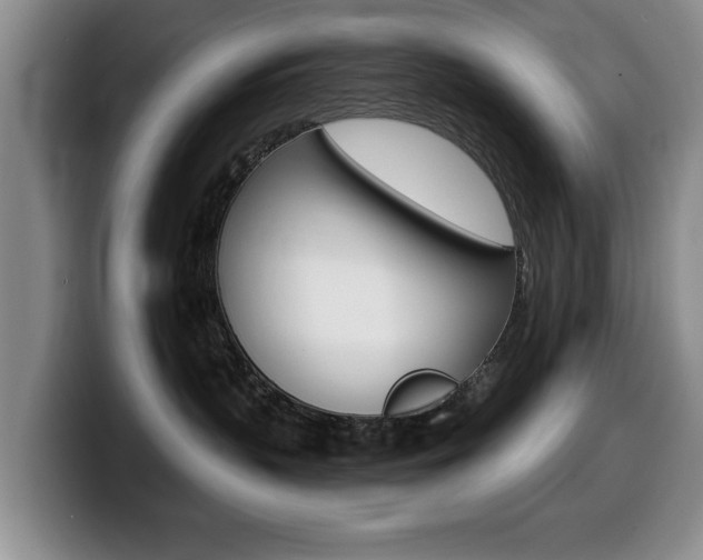 X0000099480383200805090838