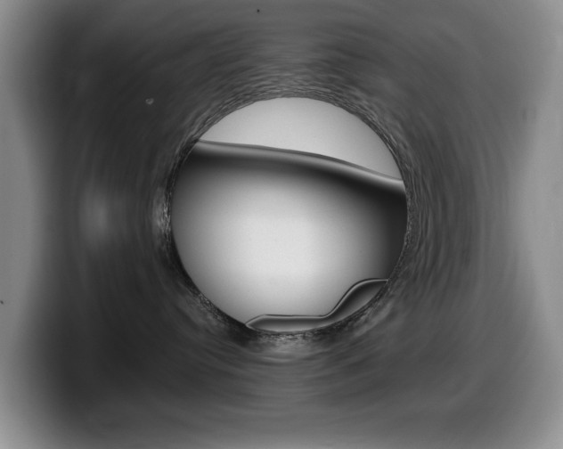 X0000099480384200805090838