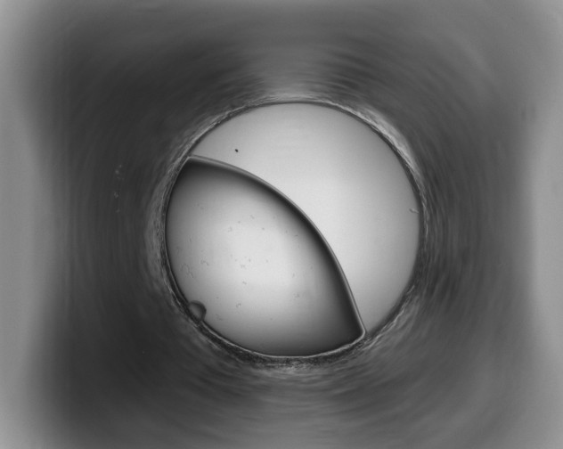 X0000099480385200805090837