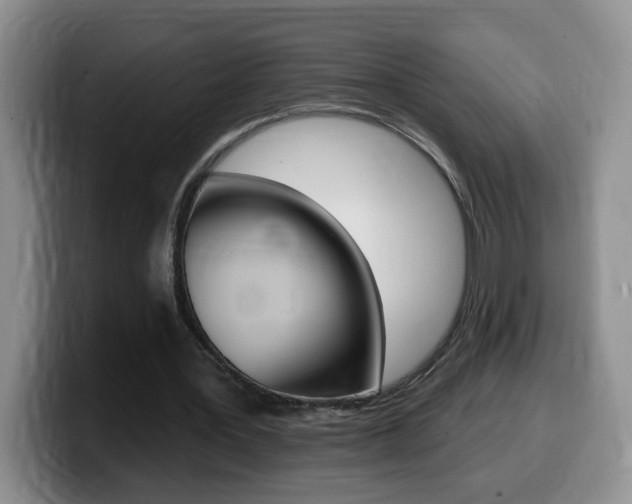 X0000099480387200805090837