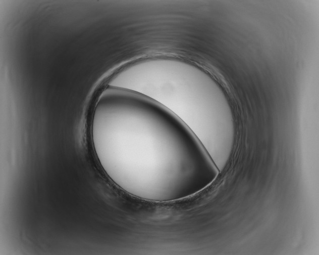 X0000099480388200805090837